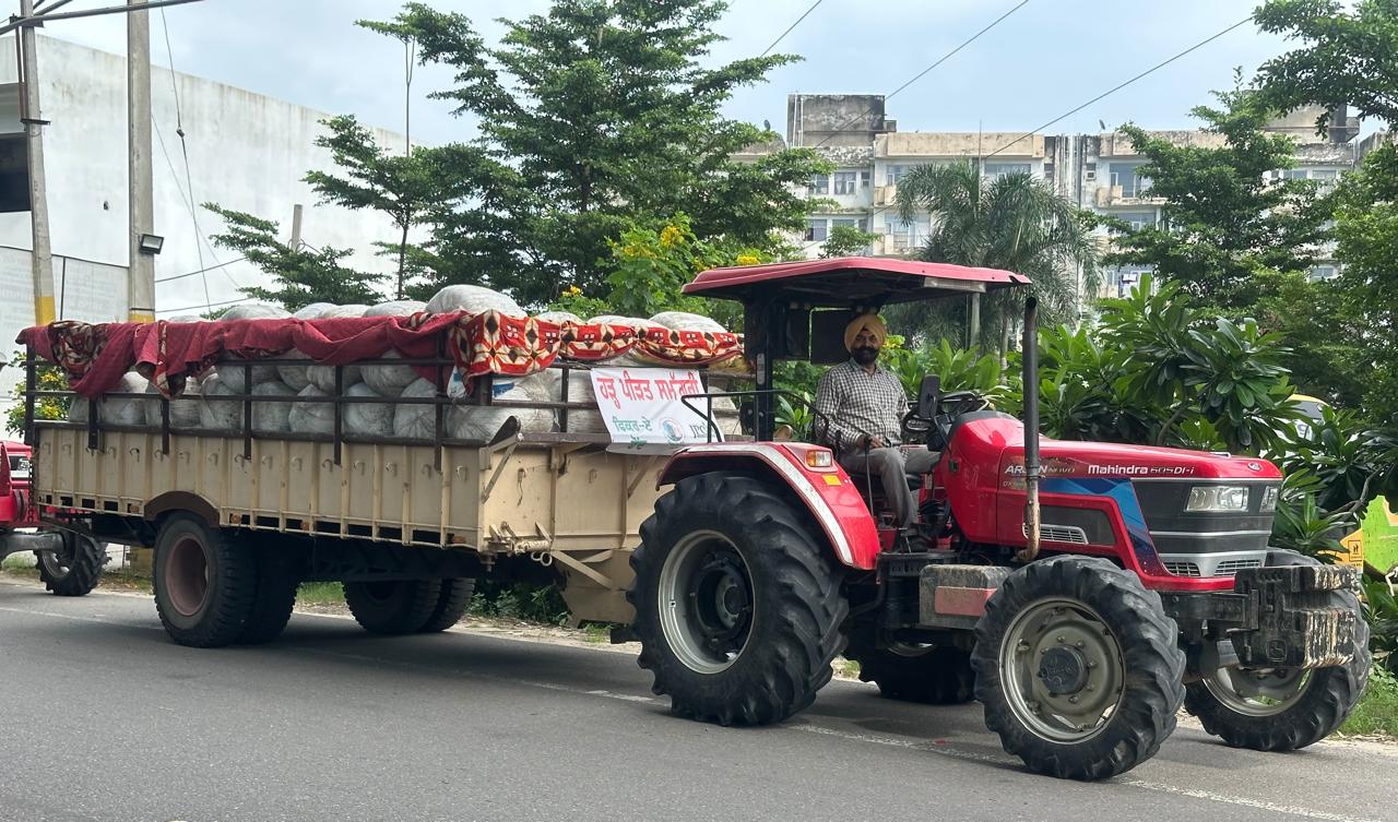 Distributed saplings